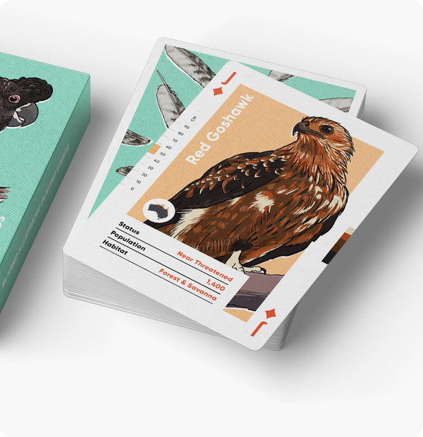 BIRDS OF AUSTRALIA - PLAYING CARDS