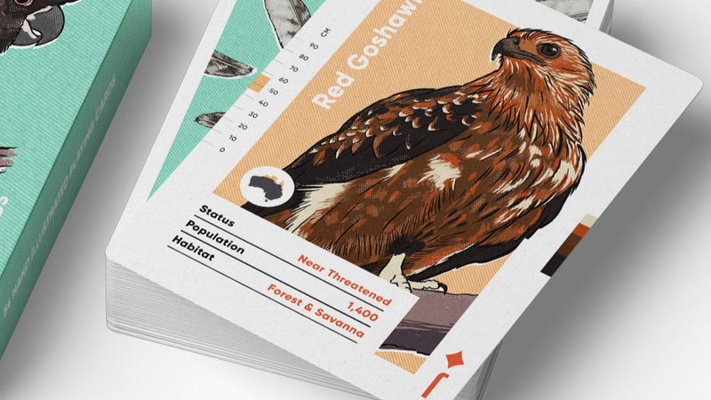 BIRDS OF AUSTRALIA - PLAYING CARDS