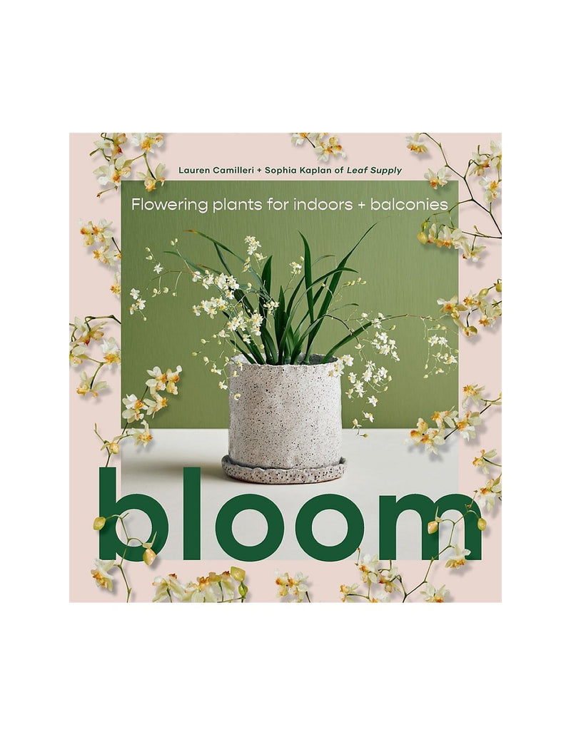 BLOOM | FLOWERING PLANTS