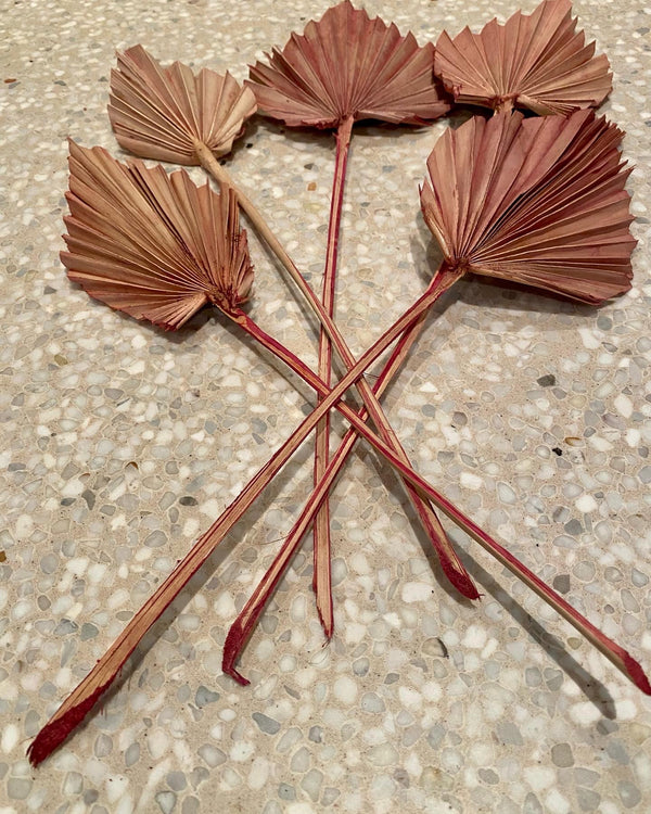 DRIED PALM SPEARS PINK