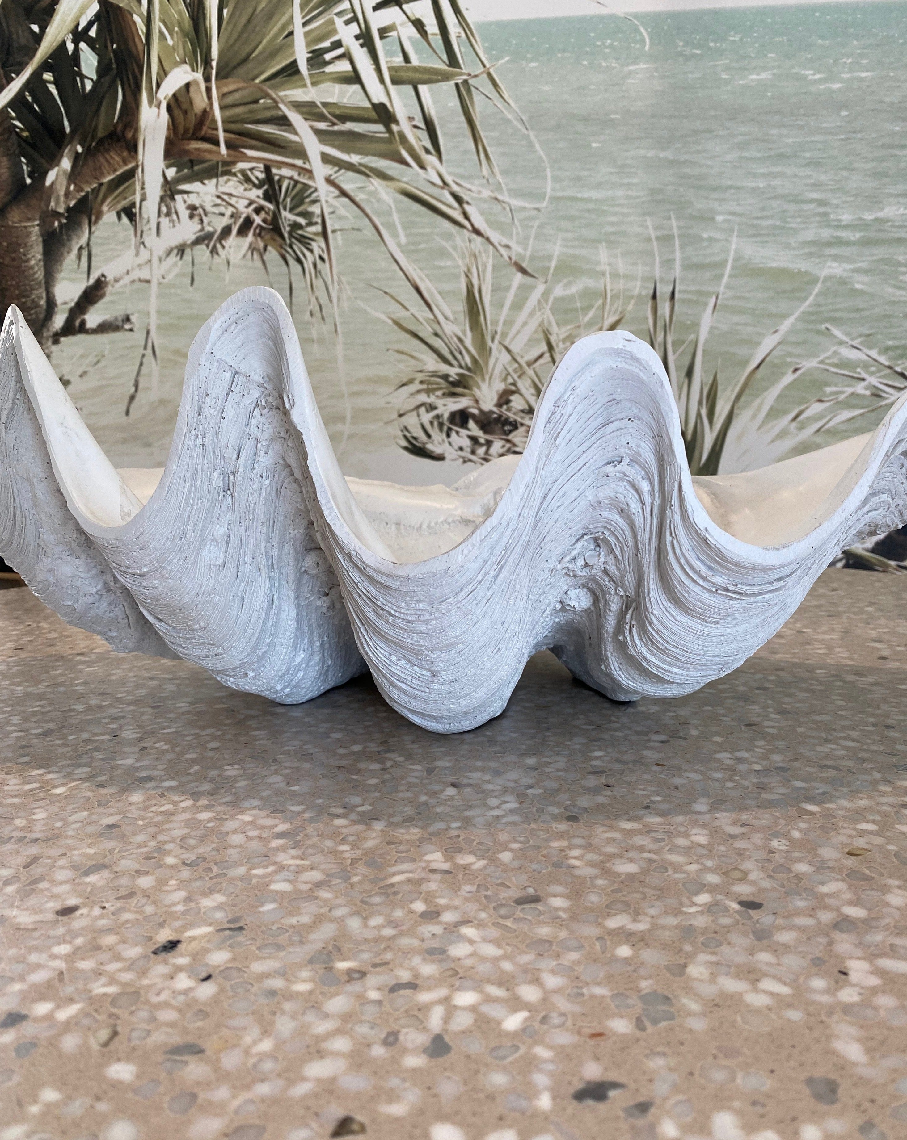 Clamshell White Color CLAM SHELL - WHITE – Muse Agora